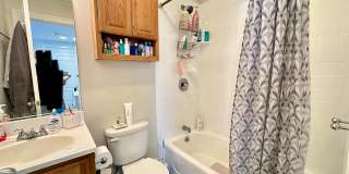 NIce 4 bed in Mission Hill Gallery 28