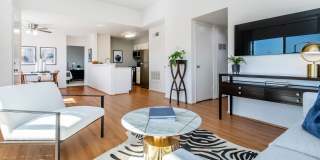 Park Sierra Gallery 14