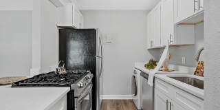 The Finley Gallery 3