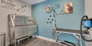 Lake Lynn Reserve Apartments Gallery 29