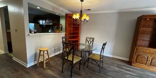 Furnished 2BR, 2BA Condo with Backyard in Arlington Gallery 5