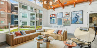 Bluebird on Seventy Gallery 13