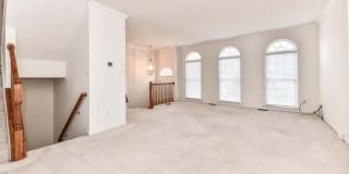 21759 LADYSLIPPER Square Gallery 9