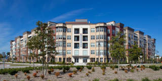 Harbor Vista at Crawford Street Gallery 1