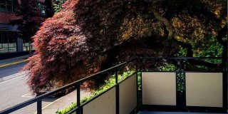 Illiad Gallery 3