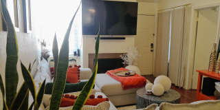 9812 River Birch Drive Gallery 1