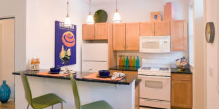 5301-5307 S. Maryland Avenue Gallery 4