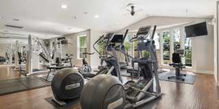 Park Central Gallery 7