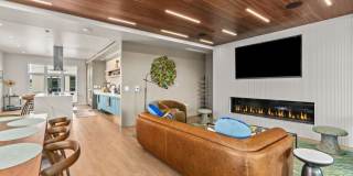 Portal Gallery 9