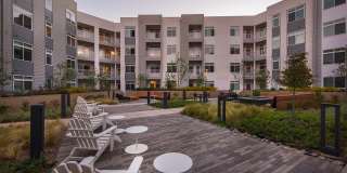 The Daley at Shady Grove Apartments Gallery 1