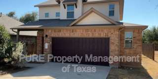 417 Cinnamon Teal Gallery 1