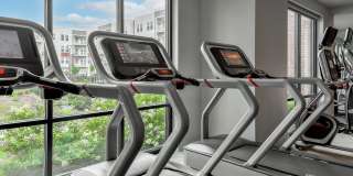 The View on Collins Apartments Gallery 33