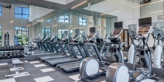 Nexus Brandon Gallery 53