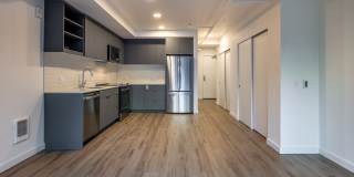 Arlo Gallery 20