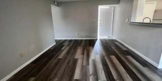 3/2 Regency Gardens 1st Floor Condo with New Plank Fooring, Stainless Appliances, and Fresh Paint! Gallery 7