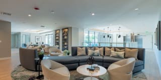 Essence Essence Gallery 23