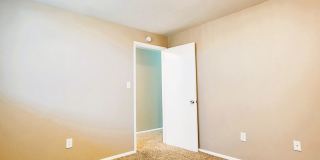 Twin Dolphins Gallery 22