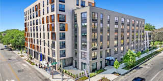 Senate at The Crosswalks Gallery 23