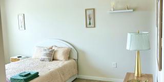 8441 Everly Preserve Drive Gallery 4