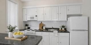 Tivoli Gardens Gallery 7