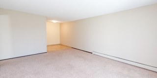 Chateau Montreal Gallery 40