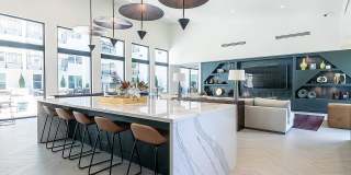 Tailor O4W Gallery 30