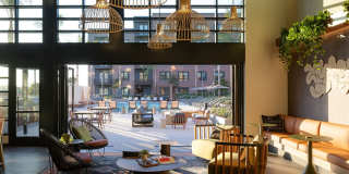 Orlo & Alba Gallery 8