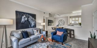 Renaissance Gallery 16