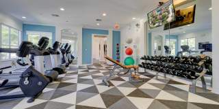 Saratoga Place Gallery 22