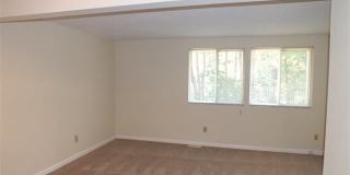 7734 Bernadette Lane Gallery 6