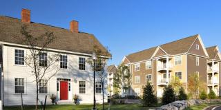 Berry Farms Gallery 26