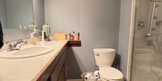 Great house in great location Gallery 18