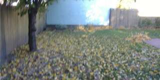 18 Burnside Street unit: 1 Gallery 22