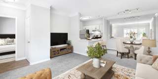 The Columns at Hiram Gallery 14