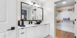 Tortoise One Gallery 14