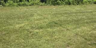 2248 Williams Street 2248 Williams Street Gallery 17