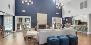 The Pines Gallery 21