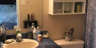 2373 Grand Fir Dr Gallery 14
