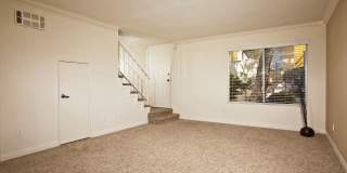 Elán Solana Pointe Gallery 10