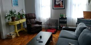 116 Carrington St Gallery 8