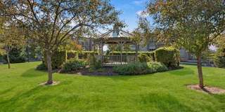 Swan Creek Gallery 16