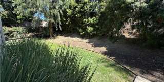 3195 N Sunrise Court Gallery 14