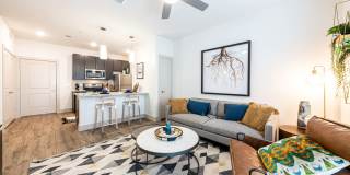 Lenox SoCo Lenox SoCo Gallery 3