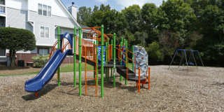 Coffey Creek Gallery 17