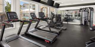 The Kendall Gallery 12