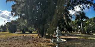 4332 145th Avenue N Gallery 65