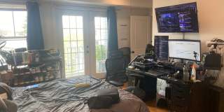 Beautiful 5 bed penthouse unit in lower Allston available 9/1/26 Gallery 6