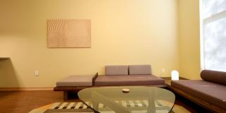 Settlement Place Gallery 377