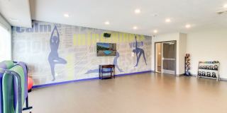 Viridian Central Gallery 11