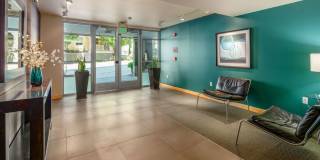 Beautiful 1 Bed 1 Bath in Denny Triangle Gallery 15